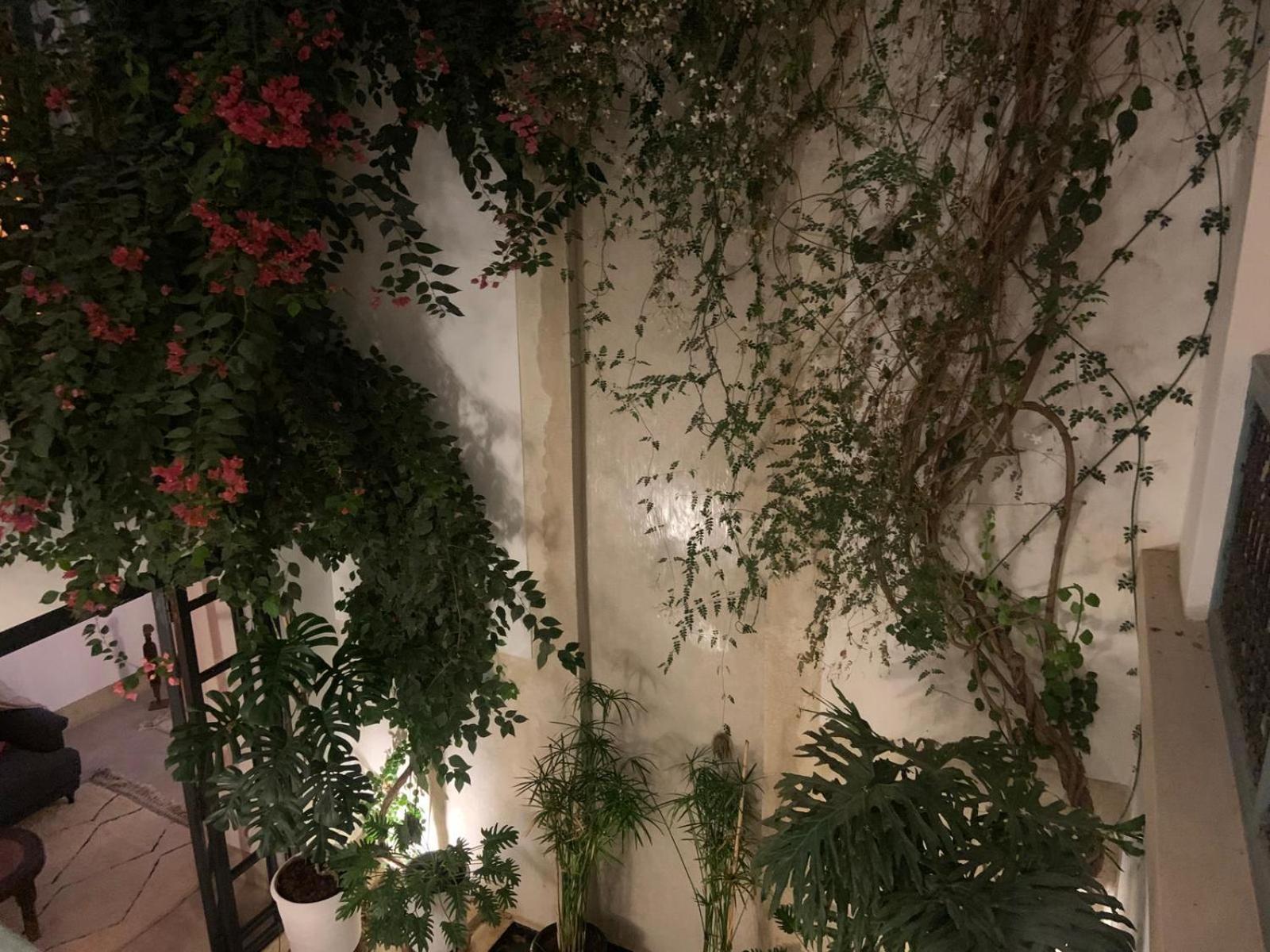 Hotel Le Petit Pacha Marrakesh Esterno foto